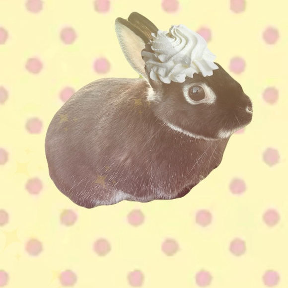 truffleriri